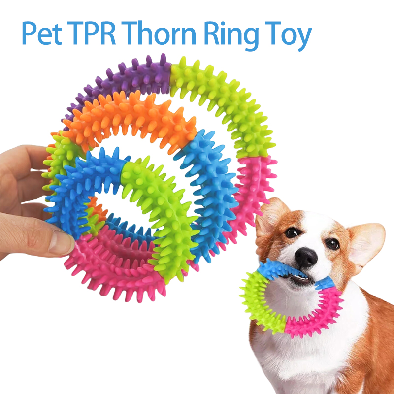 Flying Disc Dog Training Toy - Jouets mignons pour chiens, disques volants
