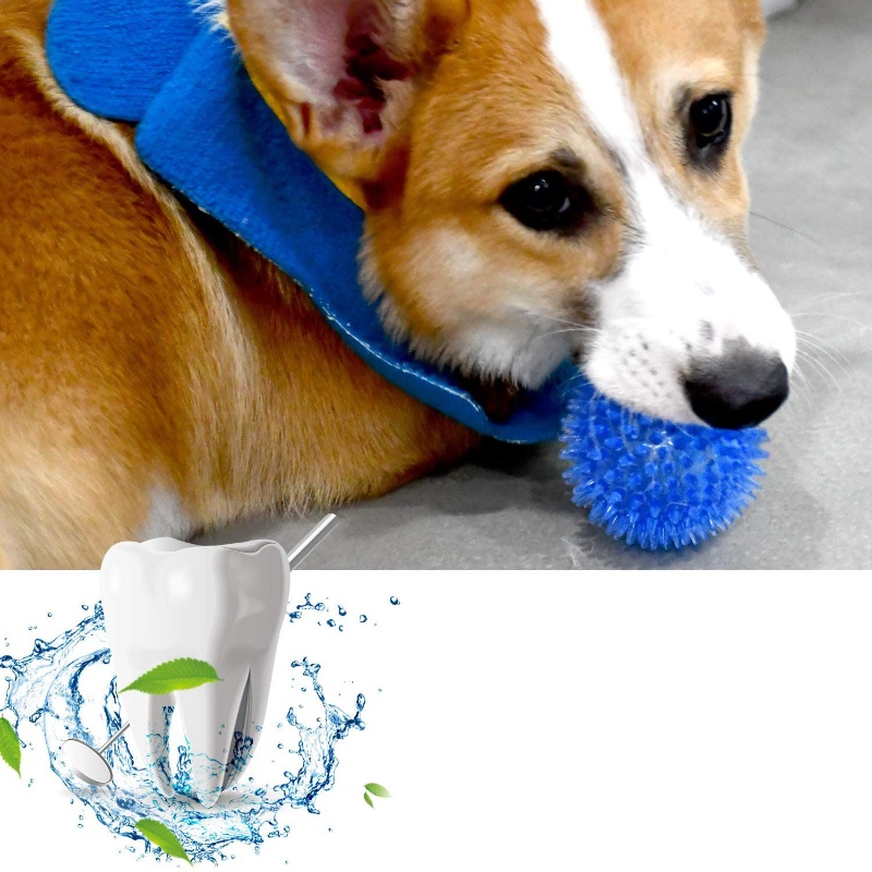 Balle de jouet pour animaux de - Interactive Squeaky Plush Dog Toy avis et prix