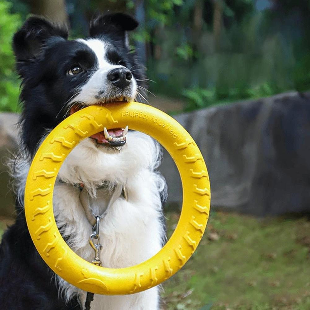 Jouets pour chiens : Anneaux d - Interactive Squeaky Plush Dog Toy avis et prix