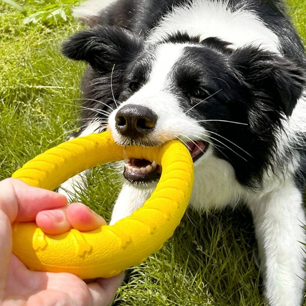Jouets pour chiens : Anneaux d - Interactive Squeaky Plush Dog Toy avis et prix