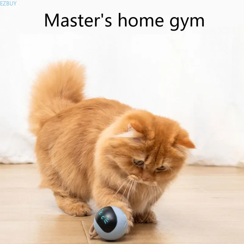 Jouet interactif pour chat, ba - Automatic Moving Dog Ball avis et prix