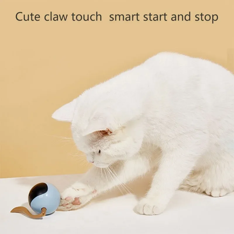 Jouet interactif pour chat, ba - Automatic Moving Dog Ball avis et prix