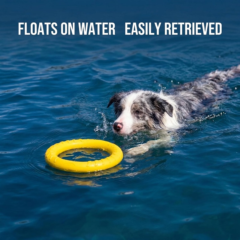 Jouets pour chiens : Disques v - Flying Disc Dog Training Toy avis et prix