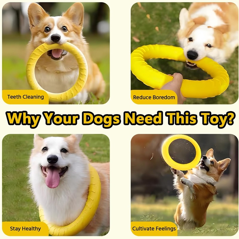 Jouets pour chiens : Disques v - Flying Disc Dog Training Toy avis et prix