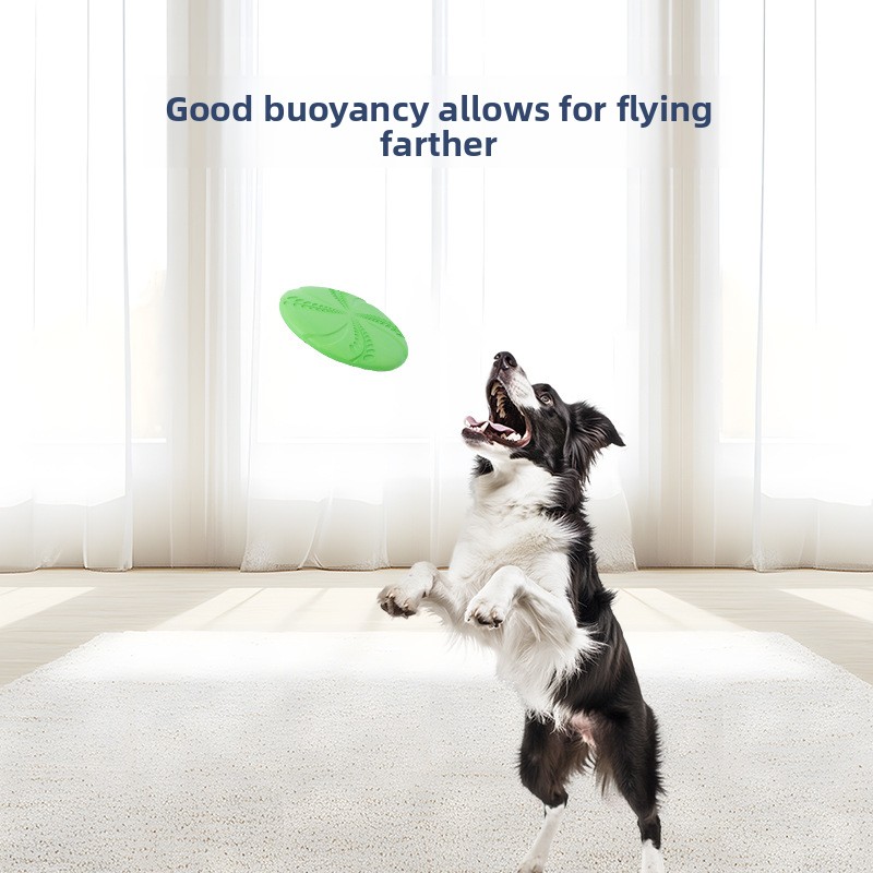 Frisbee d'entraînement interac - Flying Disc Dog Training Toy avis et prix