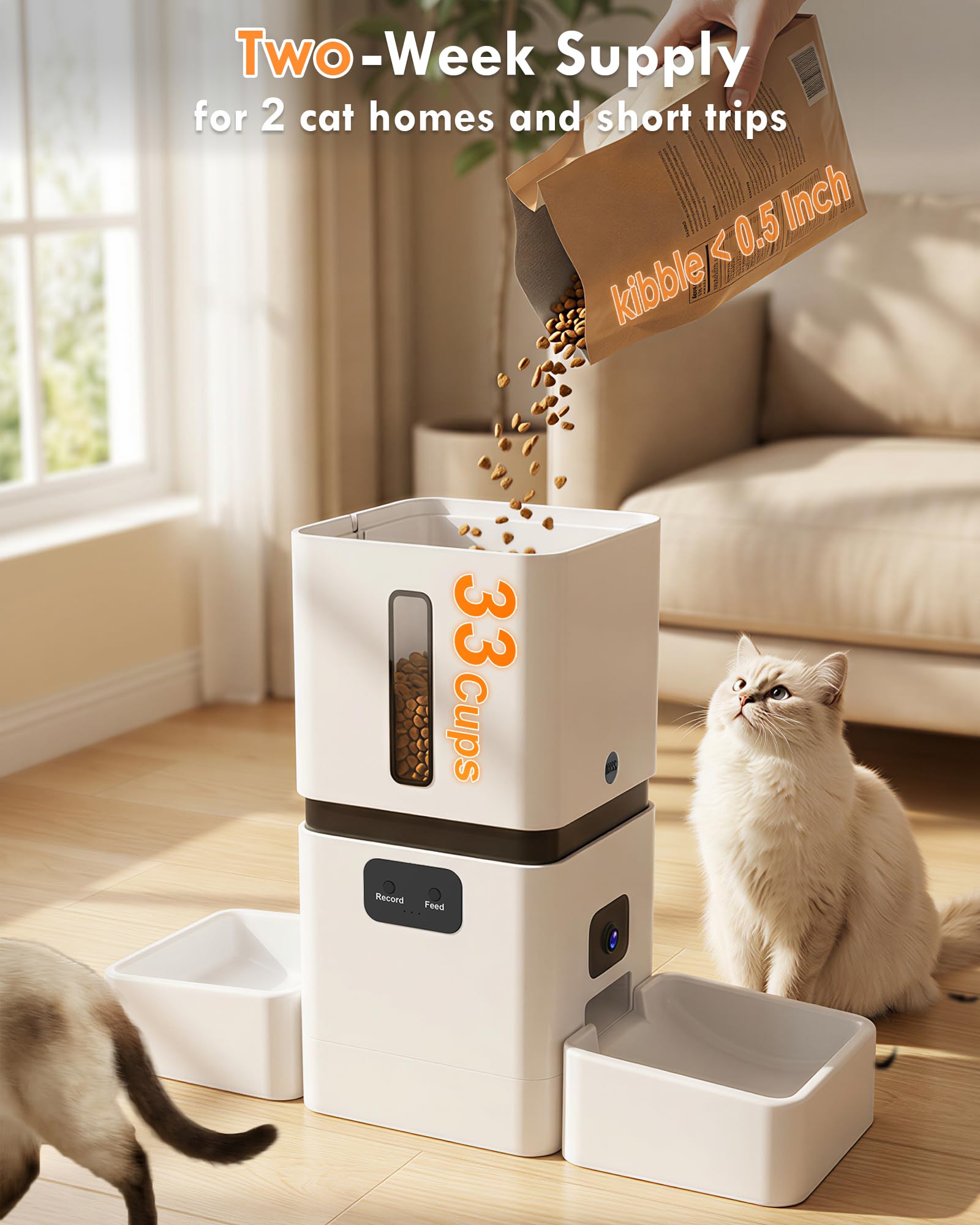 Distributeur automatique de no - Pet Feeders avis et prix
